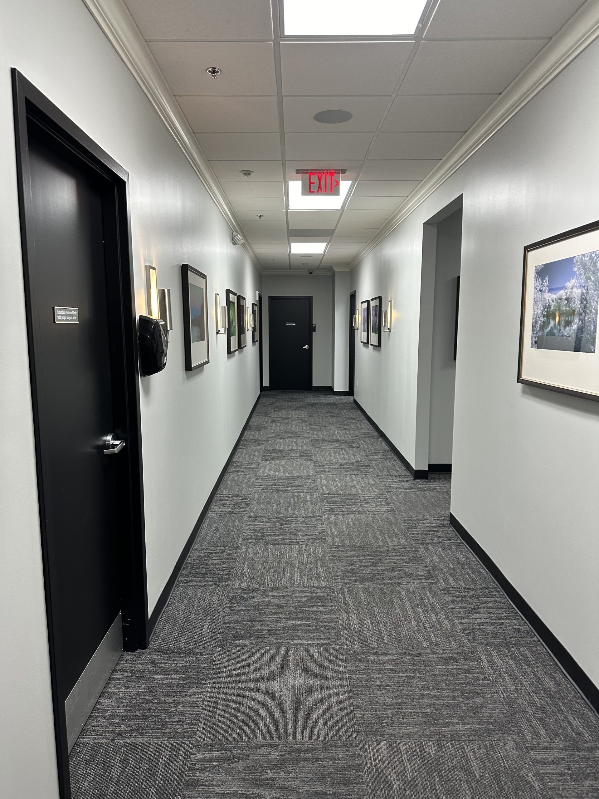 Begin Your Anti-Aging Journey